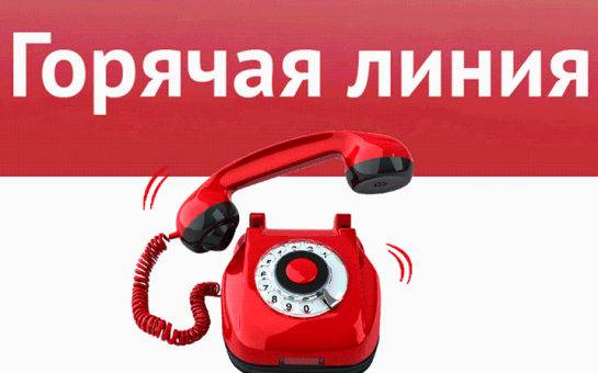 17.04.2025 в общественной приемной Губернатора области с 10.00 до 12.00 проводится «прямая телефонная линия» по бесплатному тел. 8-800-101-84-73 по теме: «О возобновлении работы дачных маршрутов общественного транспорта в Новосибирской области 